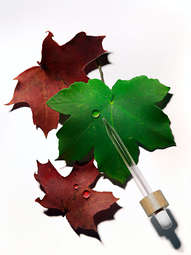 Masa Usuki Natural organic cosmetic maple leaf